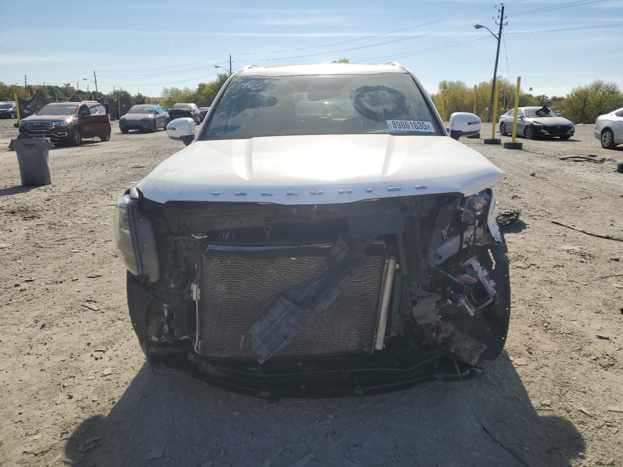 Kia Telluride Sx Image 5