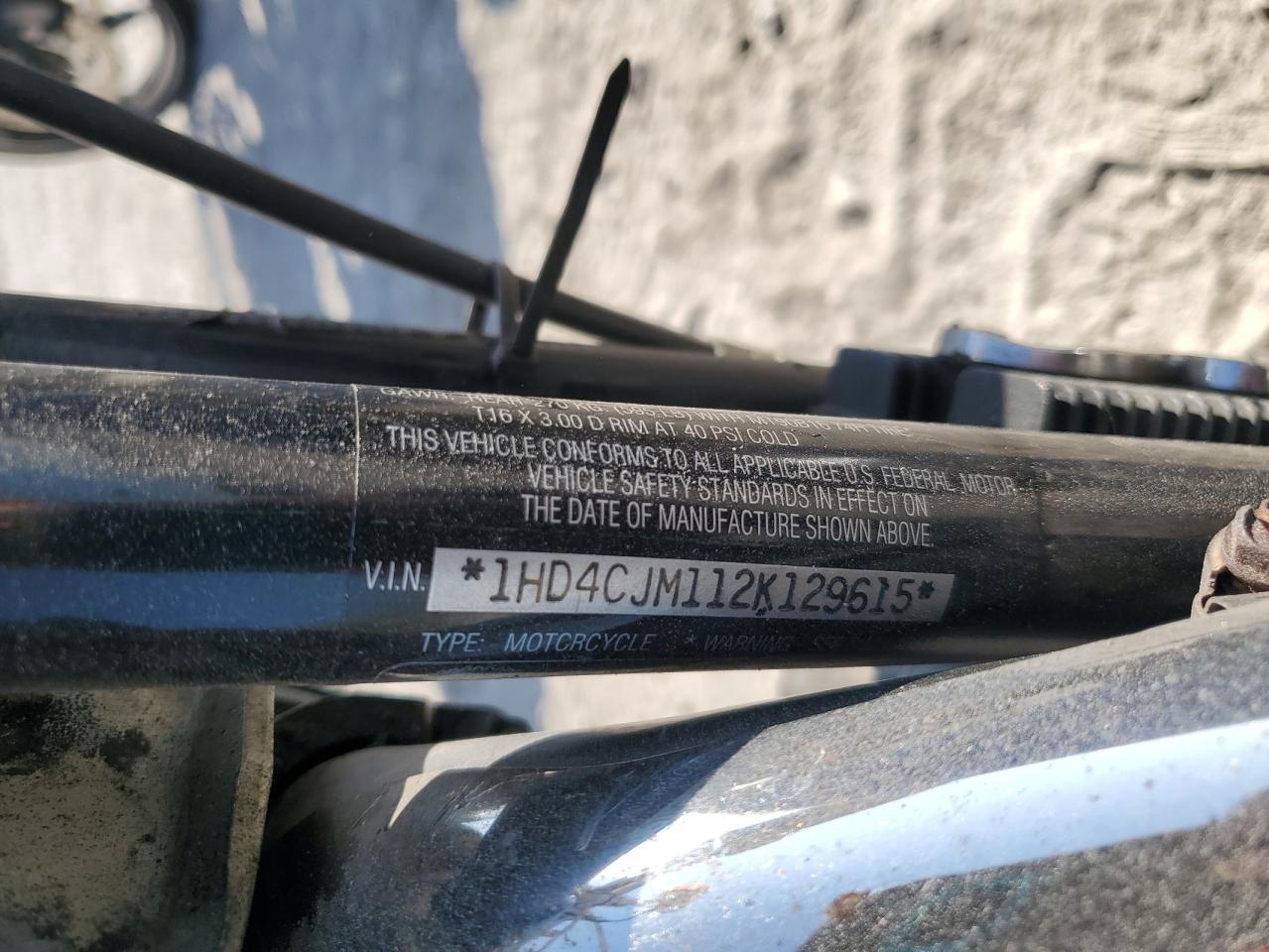 Harley-Davidson Xl883 C C Image 7