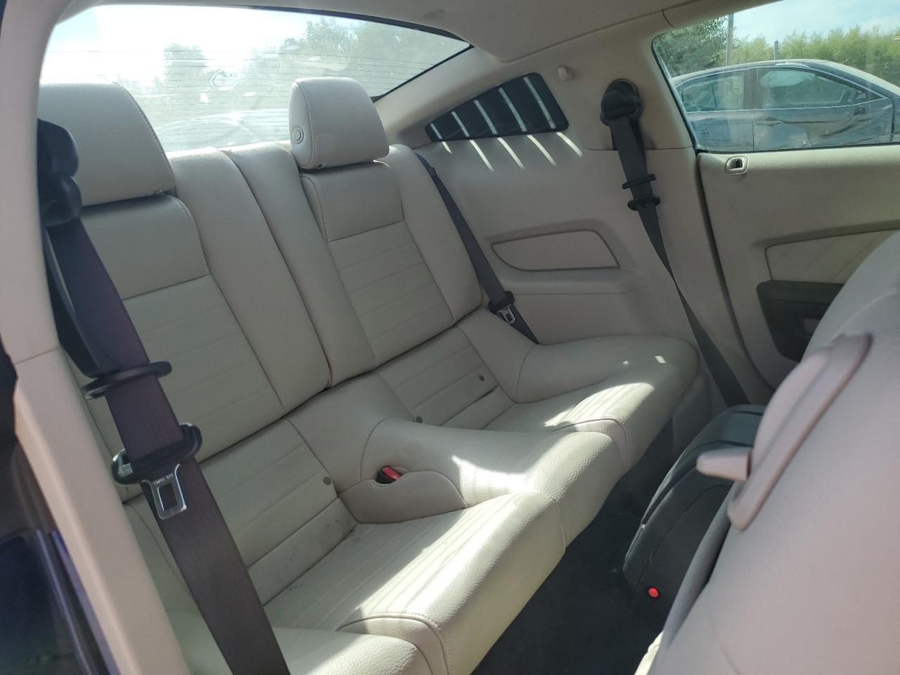 Ford Mustang Gt Image 6