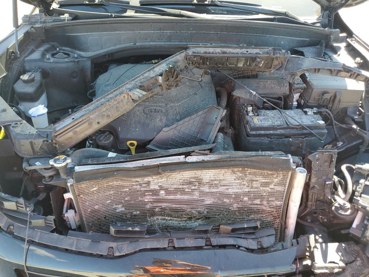 Kia Telluride Sx Image 4