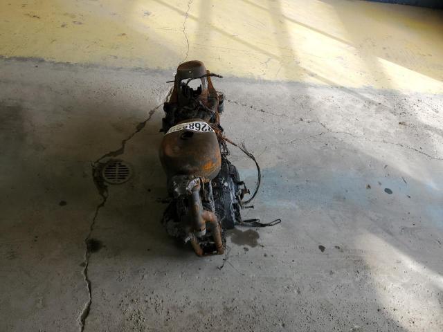 Harley-Davidson Xl883 N N Image 4