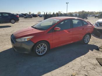  Salvage Ford Focus
