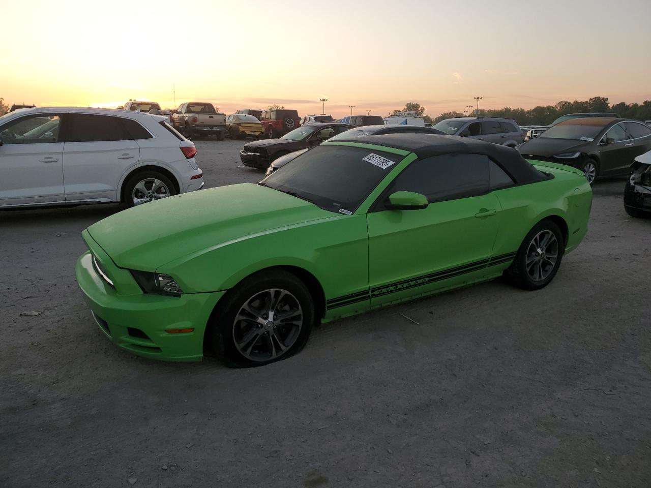 Ford Mustang Image 1