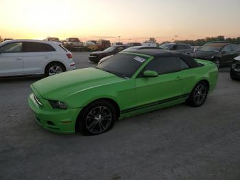  Salvage Ford Mustang