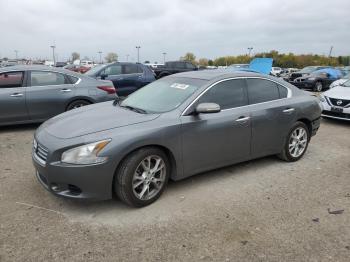  Salvage Nissan Maxima
