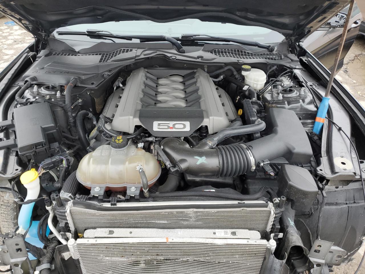 Ford Mustang Gt Image 11