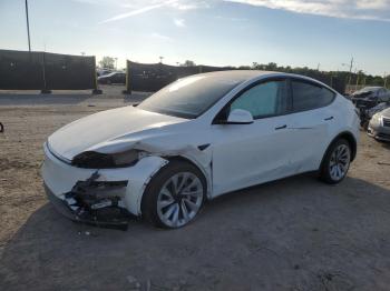  Salvage Tesla Model Y