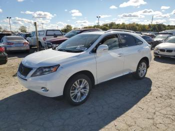 Salvage Lexus RX