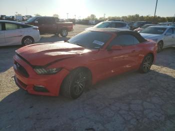  Salvage Ford Mustang