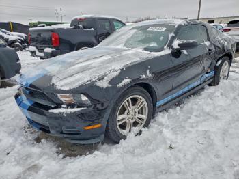  Salvage Ford Mustang