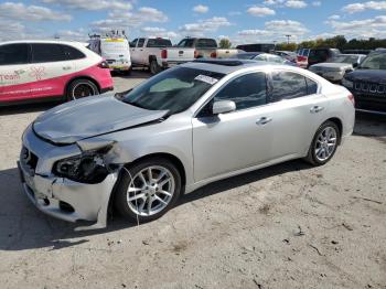  Salvage Nissan Maxima