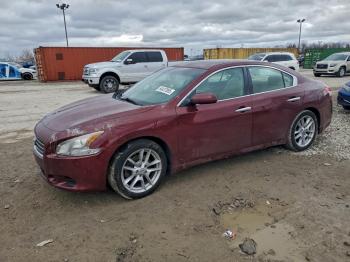  Salvage Nissan Maxima
