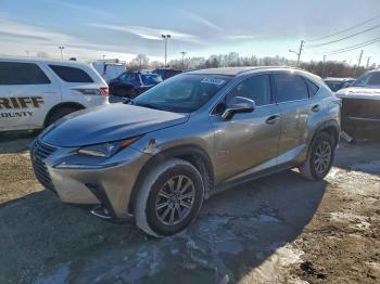  Salvage Lexus NX