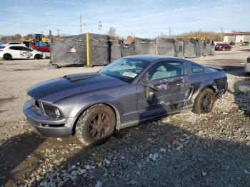  Salvage Ford Mustang