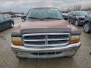 Dodge Dakota Image 7