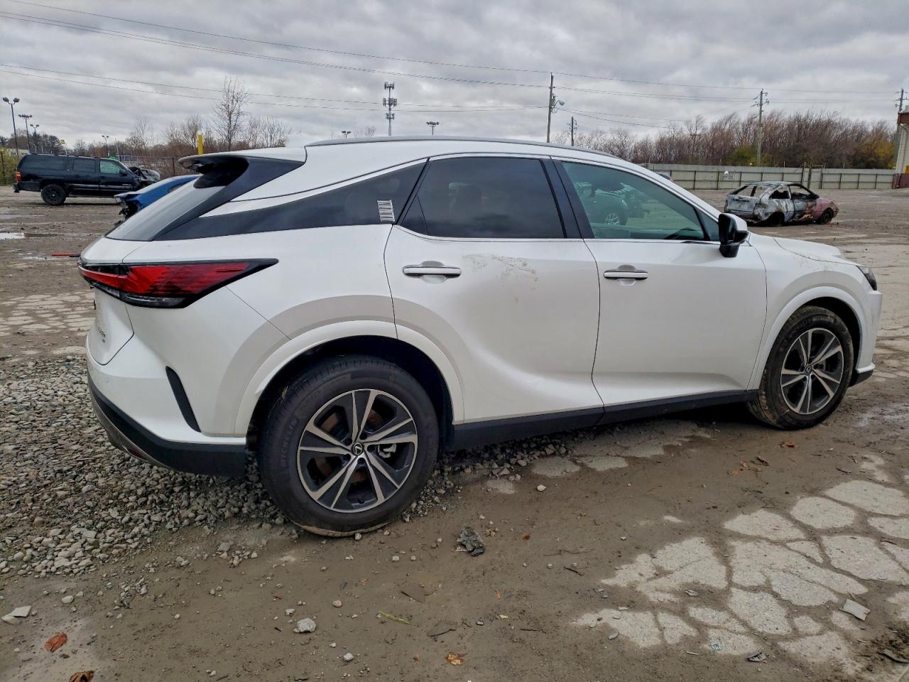 Lexus RX 350 Base Image 13