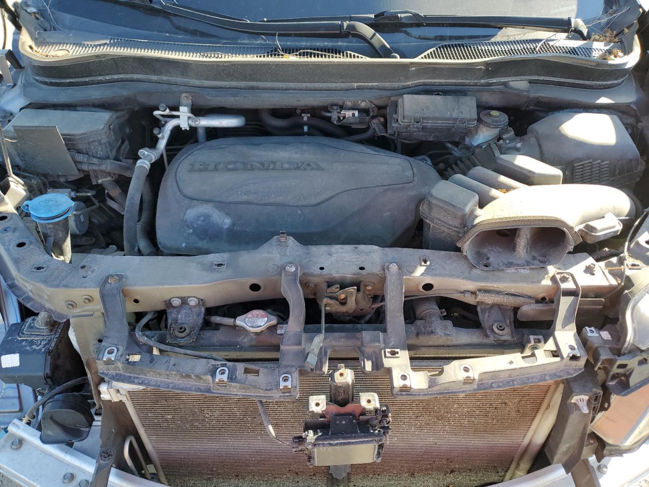 Honda Passport Sport Image 9