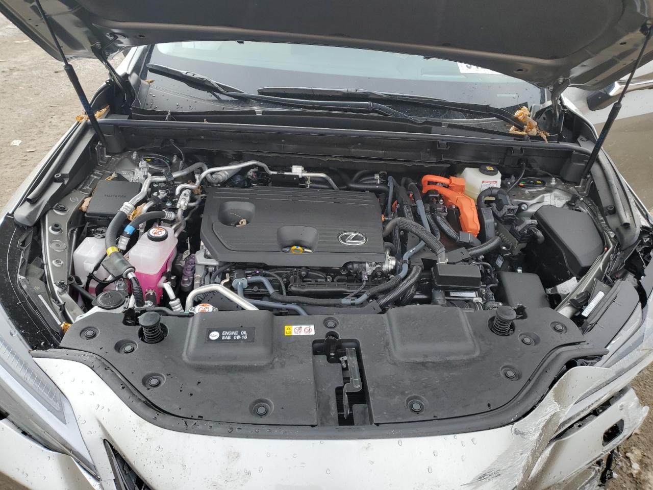 Lexus NX 450h Luxury Image 5