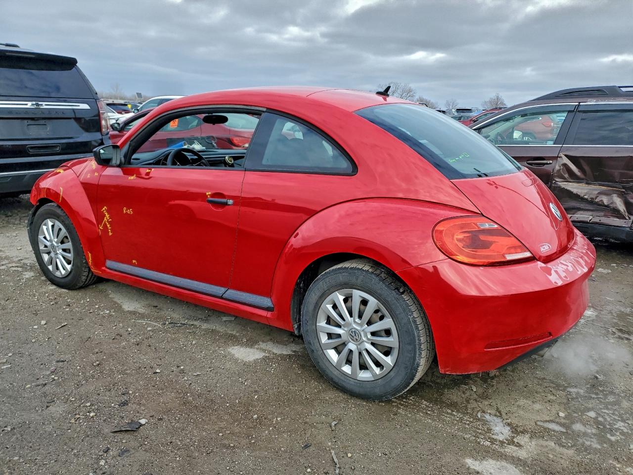 Volkswagen Beetle Image 12