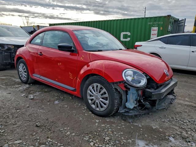 Volkswagen Beetle Image 4