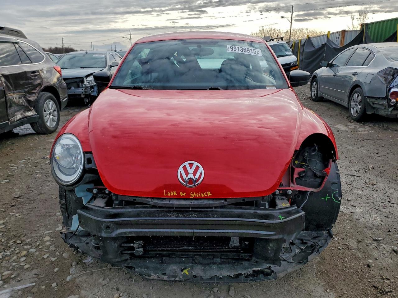 Volkswagen Beetle Image 7