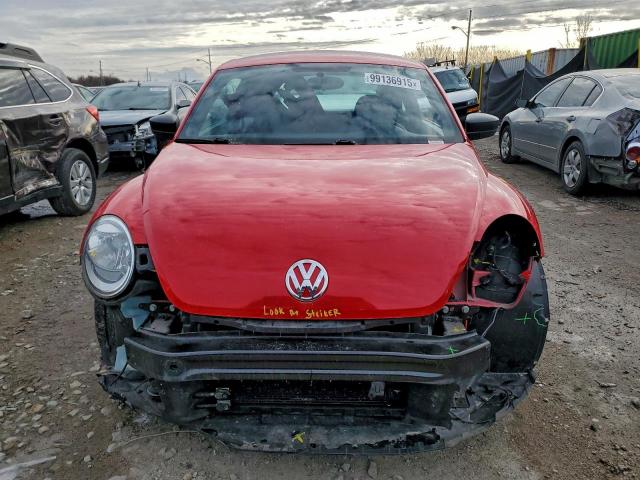 Volkswagen Beetle Image 7