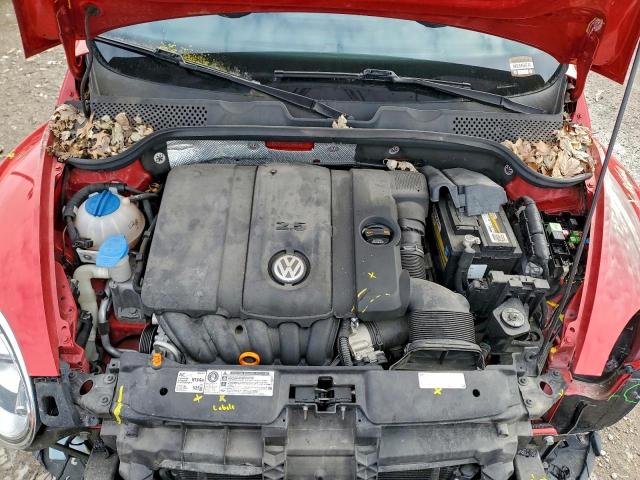 Volkswagen Beetle Image 2